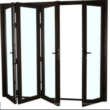 Hollow Glass Folding Door